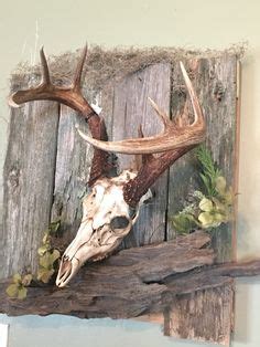 69 Deer Skull Mounting Ideas | deer skulls, hunting decor, deer mounts