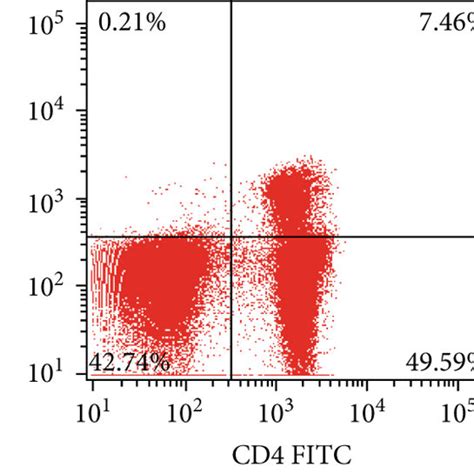 Gating Strategy Is Represented For Each Cell Type Assessed Using Flow