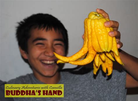 Candied Buddha's Hand