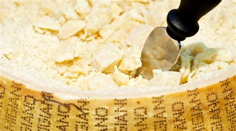 What’s In Parmesan Cheese Fda’s Cfr Rules Europe And Cows Newsday