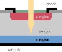 lidské zdroje hladověl Točit se pin photodiode symbol šálek negativní ...