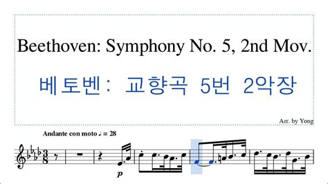 베토벤 교향곡 5번 운명 2악장 바이올린 편곡 Beethoven Symphony No 5 2nd Mov For