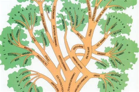 Tree Diagram Linguistics Speech Study Syntax Linguistics Pat