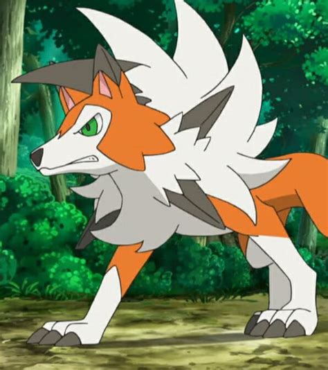 Lycanroc Dusk Form Wiki Pokémon Amino