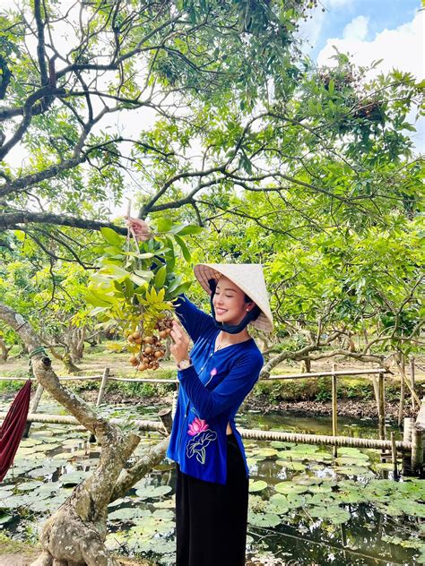 Hoa H U Di M H Ng Khoe D Ng Sexy V I Bikini H U Ho Ng My Di N M T Kh Ng N I Y N Ng B Ng