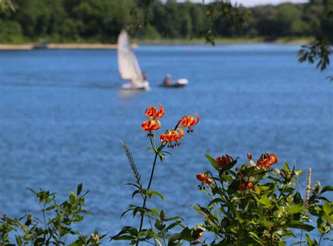 Fanshawe Conservation Area | Great Lakes Guide