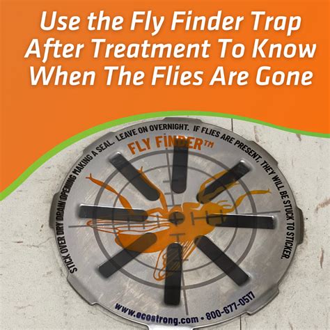 Drain and Fruit Fly Eliminator: Remove Gnats, Sewer Flies and More ...