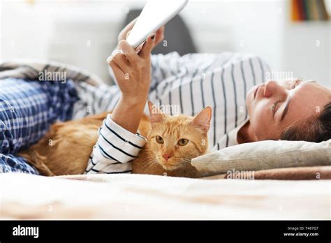 Cat Lying in Bed with Owner Stock Photo - Alamy