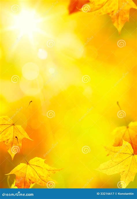 Yellow Leaf Background Hd : Yellow leaf, (pc top), wallpaper ...