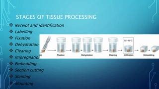 Tissue processing | PPT