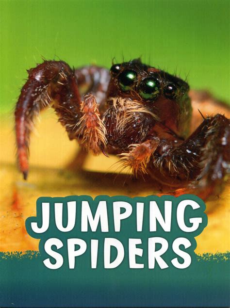 Jumping Spiders - Laburnum House Educational