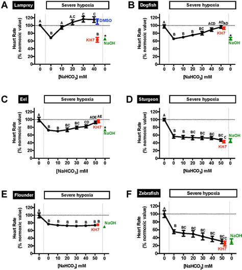 Effects Of Cumulative Nahco Addition On The Beat Rate Of Isolated