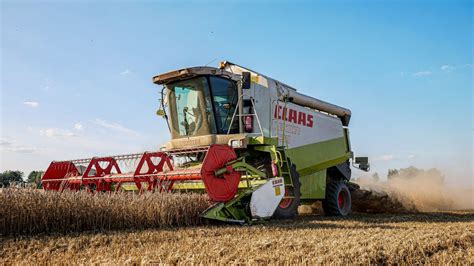 Niwa W Gr Antoniuk Claas Lexion Lubelskie Agro Team Youtube