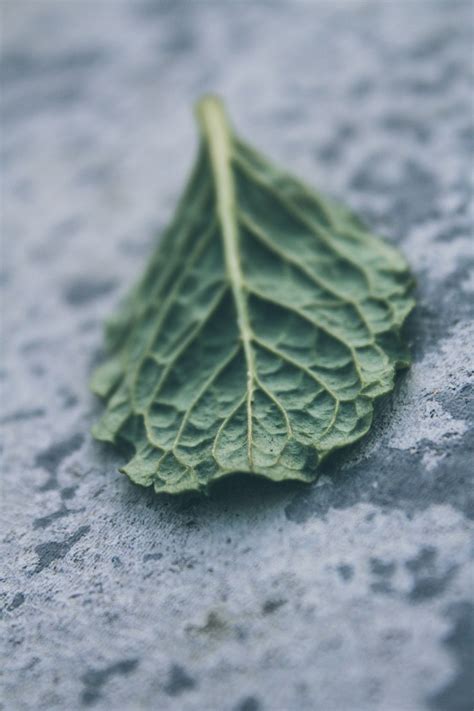 Eine Übersicht über verschiedenen Arten von Vaporizern und ihre