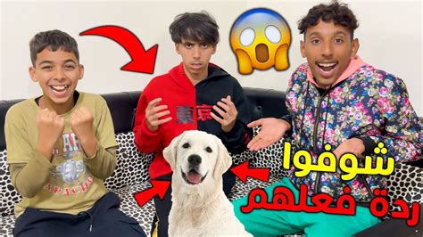 اخيرا قررت يسكن معانا اخطر كلب🐶😍شوفو ردة فعل دراري😱💲 Youtube