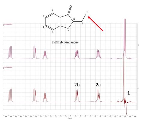 The Duke Nmr Center Homonuclear Decoupling