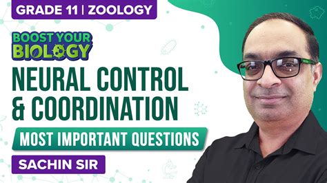 NEET Questions Series Chapter 21 Neural Control And Coordination