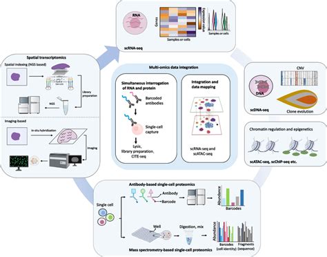 Single Cell Approaches Utilized In Disease Research Single Cell Download Scientific Diagram