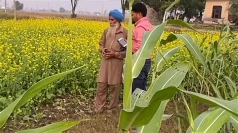 ਪੰਜਾਬ ਸੁਪਰੀਮ ਕੋਰਟ ਤੇ ਮਾਹਰਾਂ ਦੀ ਰਾਇ ਦੇ ਬਾਵਜੂਦ ਕਿਸਾਨ ਝੋਨਾ ਲਾਉਣਾ ਕਿਉਂ