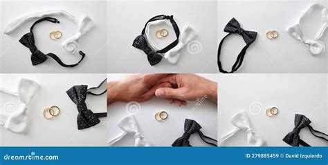 Varias Composiciones Conceptuales De Bodas Gay Con Lazos De Arco Y Anillos Imagen De Archivo