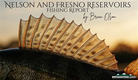 Fresno And Nelson Reservoirs Fishing Reports By Brian Olson 62724