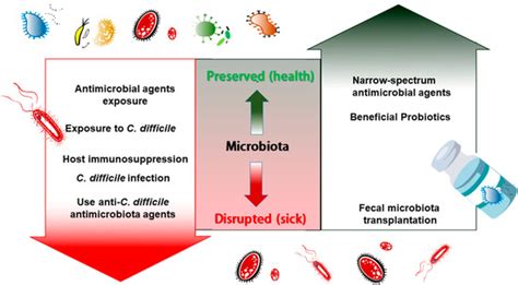 Pathogens Special Issue New Insights Into Clostridioides Difficile