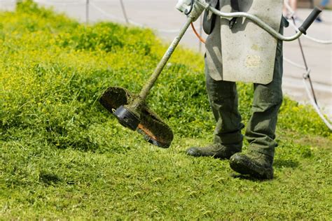 Trouver la meilleure débroussailleuse pour ses terrains