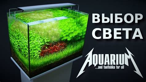 Выбор освещения для аквариума: советы проФФессионалов! - YouTube