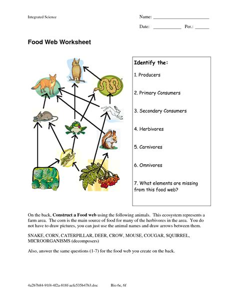 Food Webs And Food Chains Worksheets Answers Key