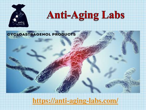 Ppt What Is Impact Of Telomeres Aging To The Aging Effect In Our Body