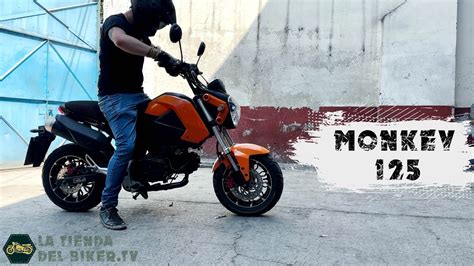 Dinamo Monkey Moto Peque A Y Ligera Moto Para Principiantes