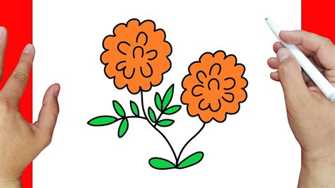 How To Draw A Cempas Chil Flower Step By Step Youtube