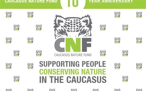 The Importance Of Marketing Caucasus Nature Fund