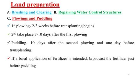 Rice Cultivation | PPT