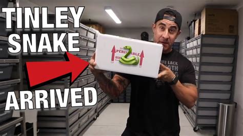 SNAKE UNBOXING AND ANGRY VIPER YouTube