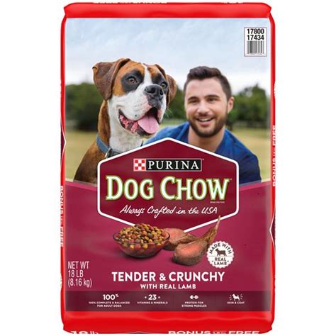 Purina Dog Chow Healthy Morsels Dog Food Bonus Size | Hy-Vee Aisles Online Grocery Shopping