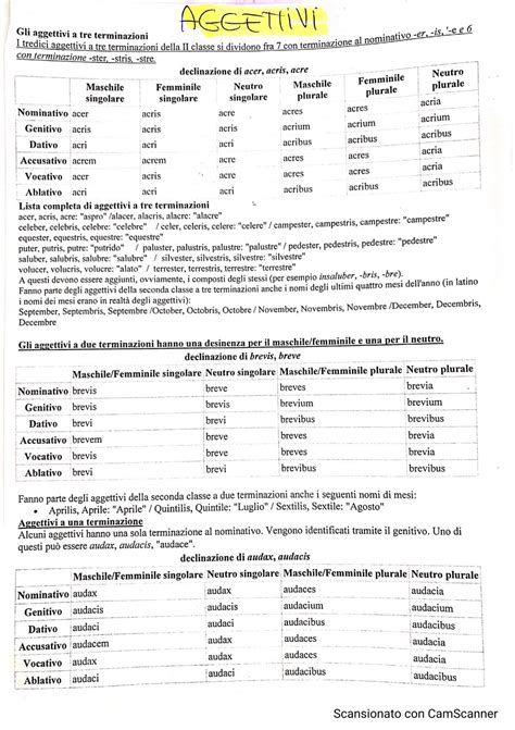 Schema Latino Grammatica Verbi Paradignma Mappa Concettuale Porn Sex