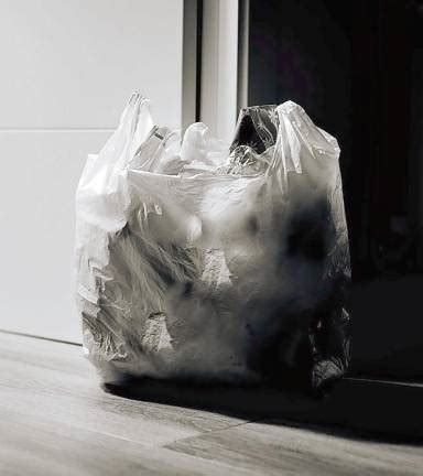 Retail. Bye-bye plastic bags: ShopRite weighs in on plastic bag ban