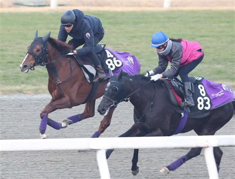 【きさらぎ賞】シヴァース 動き良化で期待、友道師「いい意味で裏切られた」 スポニチ競馬web