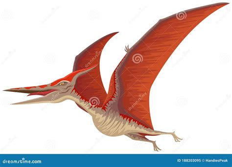 Flying Pteranodon Dinosaur Stock Vector Illustration Of Nature 188203095