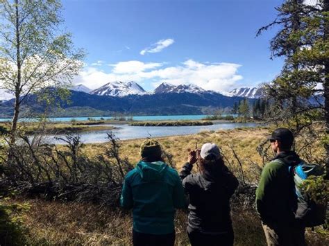 Seward Wilderness Hiking Kenai Backcountry Adventures