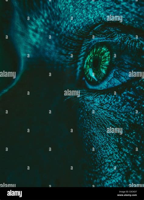 Ángulo de primer plano del ojo humano verde Fotografía de stock Alamy