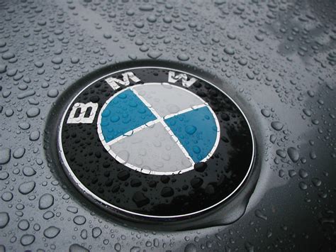 bmw logo bmw  logo luis  flickr