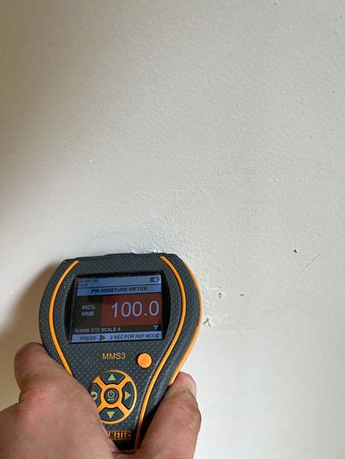 Damp Survey Service London | Drysolve Surveying