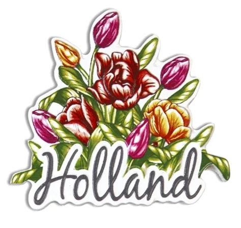 Magneet Holland Tulpen