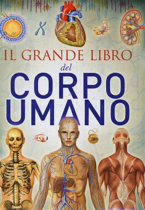 Il Grande Libro Del Corpo Umano Ediz Illustrata Destro P Amazon