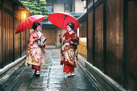 Maiko Vs Geisha Compared: What Are the Differences? – YouGoJapan