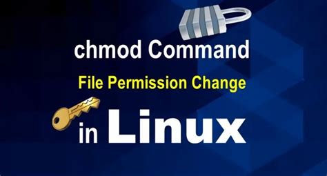 Chmod Command In Linux Penetration Testing Tools Ml And Linux Tutorials