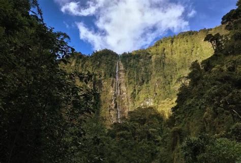 Yantzaza El Valle De Las Luci Rnagas Cautiva Con Sus R Os