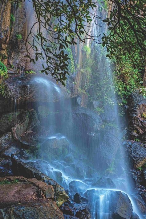 Explora la Sierra del Laurel en Rancho Ecoturístico Ciénega de los